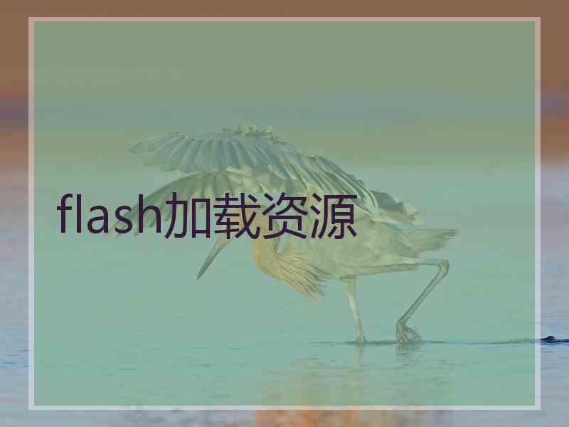 flash加载资源 flash加载资源