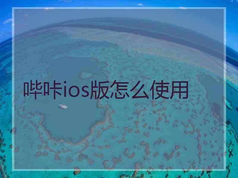 哔咔ios版怎么使用 哔咔ios版怎么使用