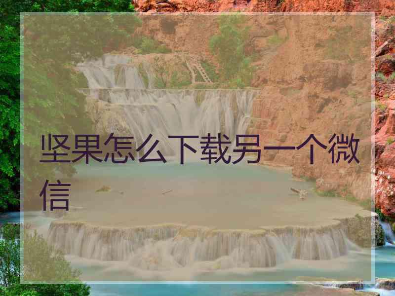 坚果怎么下载另一个微信 坚果怎么下载另一个微信