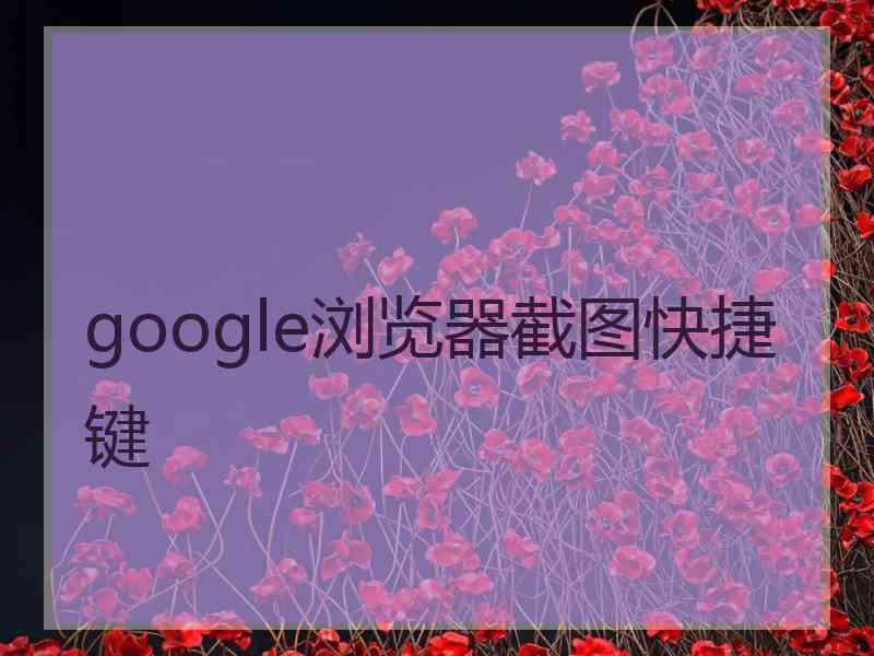 google浏览器截图快捷键 google浏览器截图快捷键