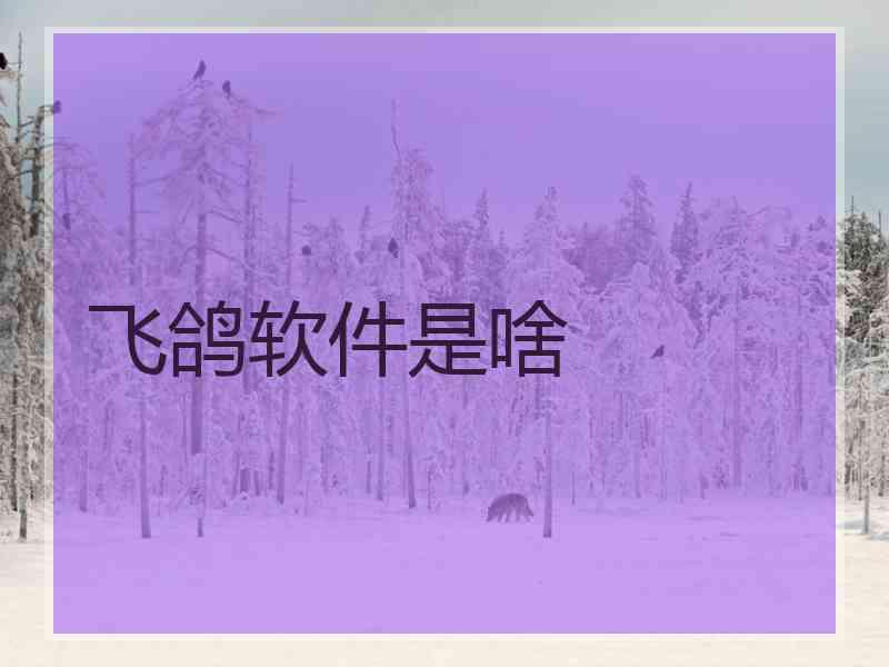 飞鸽软件是啥 飞鸽软件是啥