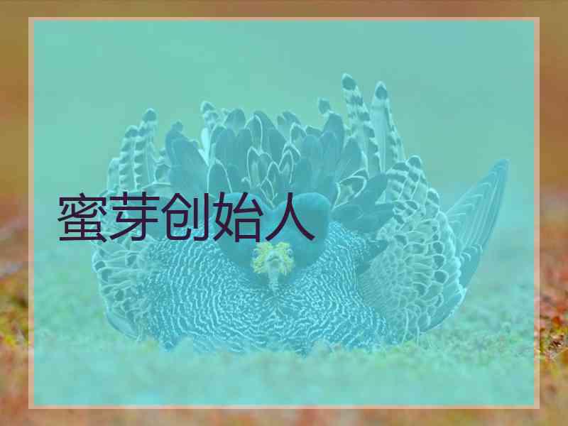 蜜芽创始人 蜜芽创始人