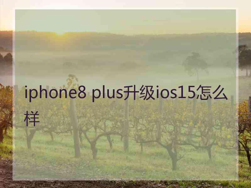 iphone8 plus升级ios15怎么样 iphone8 plus升级ios15怎么样