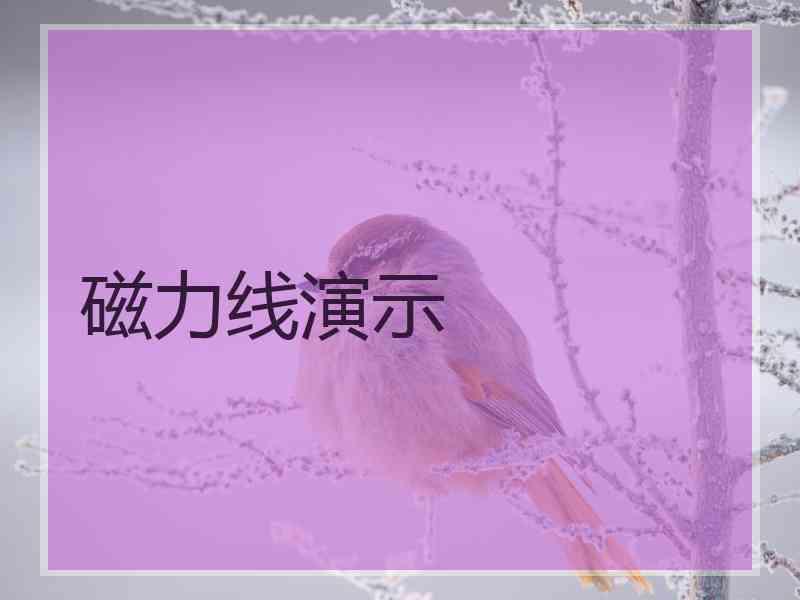 磁力线演示 磁力线演示