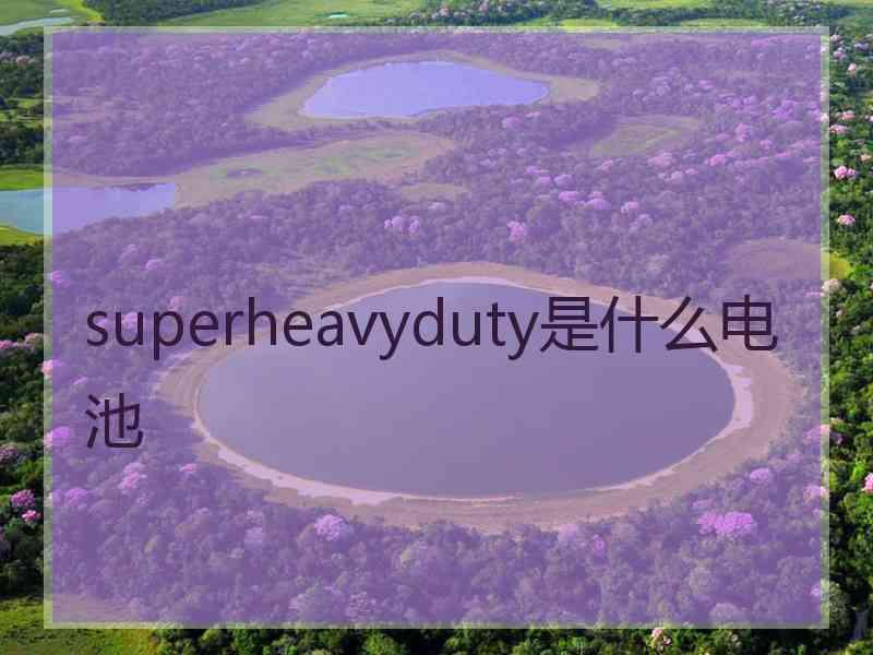 superheavyduty是什么电池 superheavyduty是什么电池