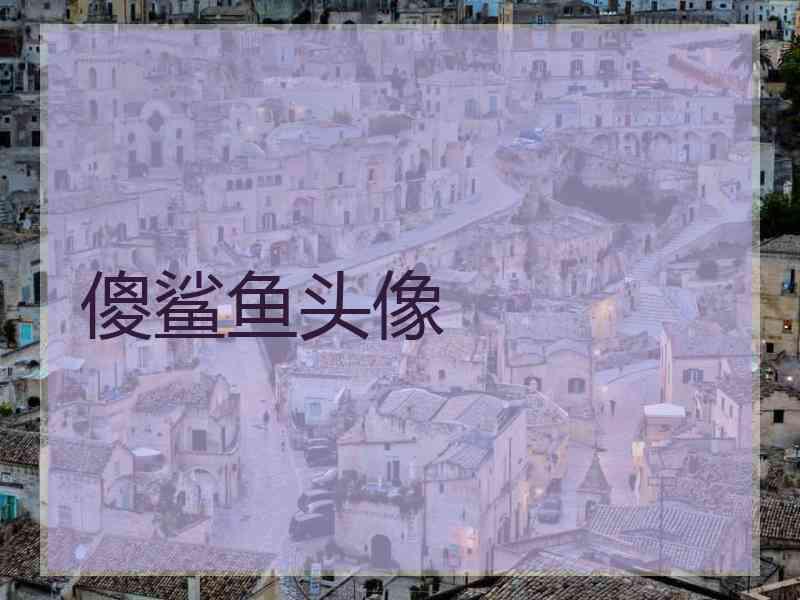 傻鲨鱼头像 傻鲨鱼头像