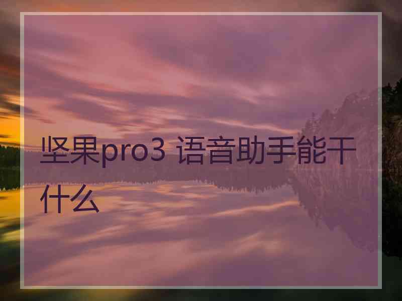 坚果pro3 语音助手能干什么 坚果pro3 语音助手能干什么