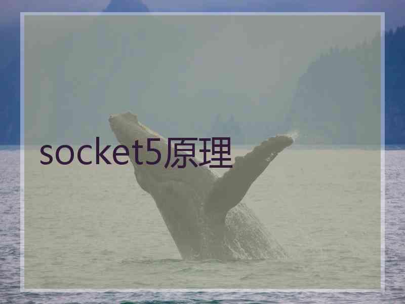 socket5原理 socket5原理