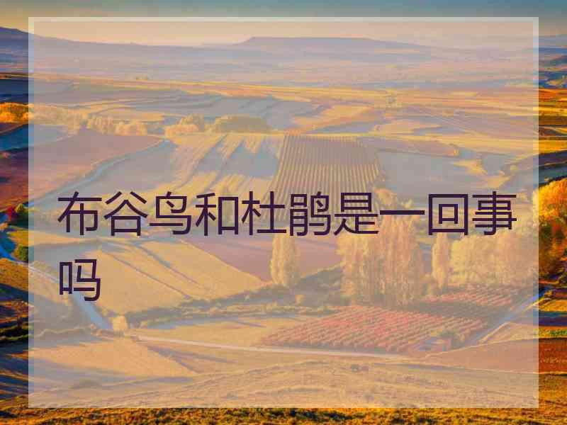 布谷鸟和杜鹃是一回事吗 布谷鸟和杜鹃是一回事吗