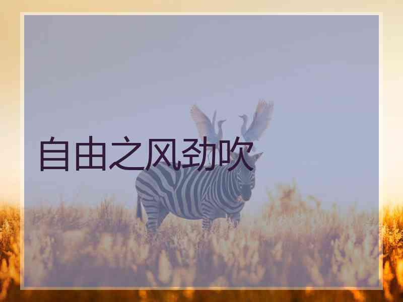 自由之风劲吹 自由之风劲吹