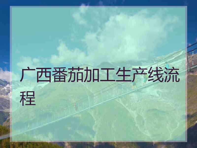 广西番茄加工生产线流程 广西番茄加工生产线流程