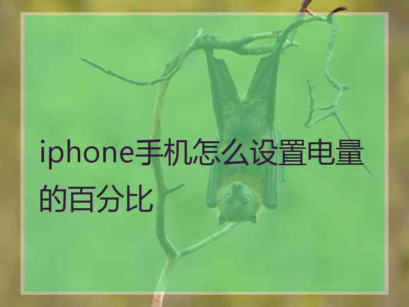 iphone手机怎么设置电量的百分比 iphone手机怎么设置电量的百分比
