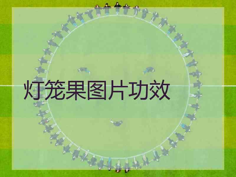 灯笼果图片功效 灯笼果图片功效