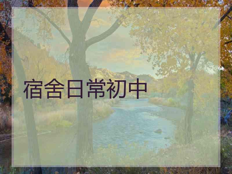 宿舍日常初中 宿舍日常初中