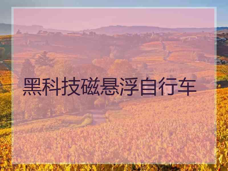 黑科技磁悬浮自行车 黑科技磁悬浮自行车