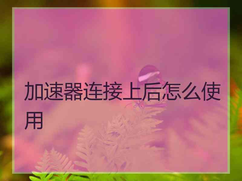 加速器连接上后怎么使用 加速器连接上后怎么使用