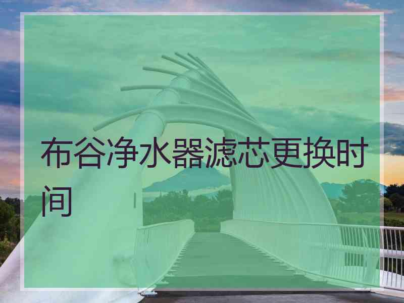 布谷净水器滤芯更换时间 布谷净水器滤芯更换时间