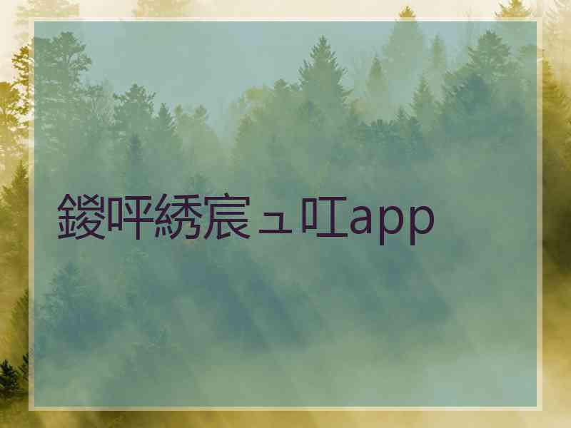 鍐呯綉宸ュ叿app 鍐呯綉宸ュ叿app