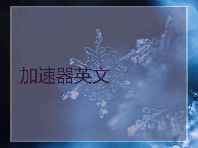 加速器英文 加速器英文