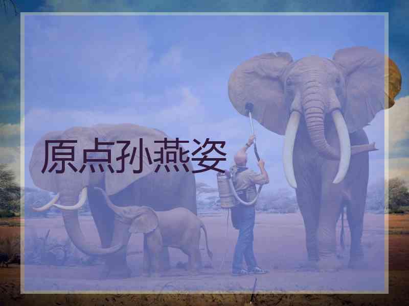 原点孙燕姿 原点孙燕姿