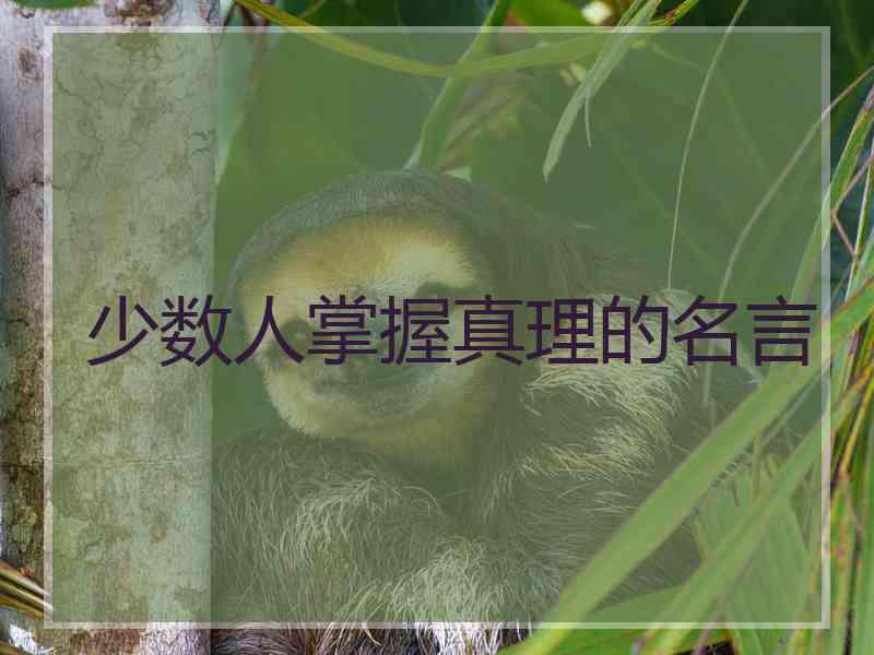 少数人掌握真理的名言 少数人掌握真理的名言