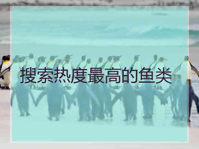 搜索热度最高的鱼类 搜索热度最高的鱼类