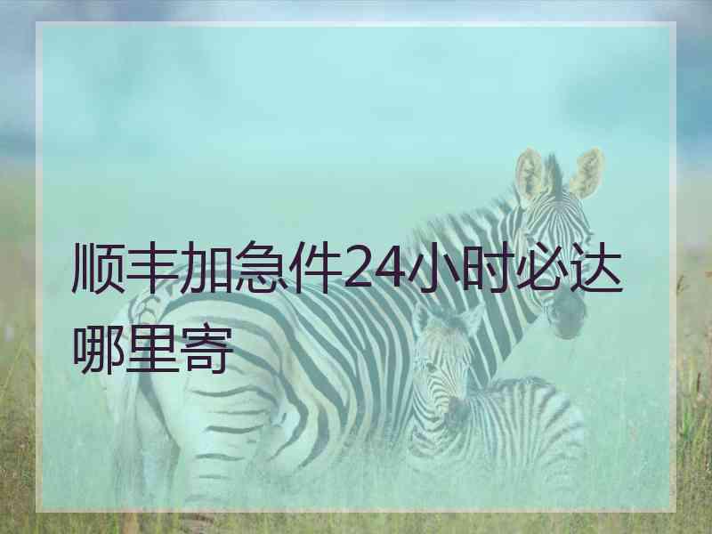 顺丰加急件24小时必达哪里寄 顺丰加急件24小时必达哪里寄
