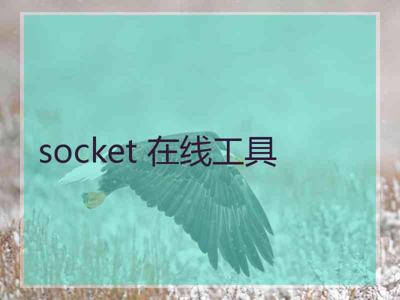 socket 在线工具 socket 在线工具
