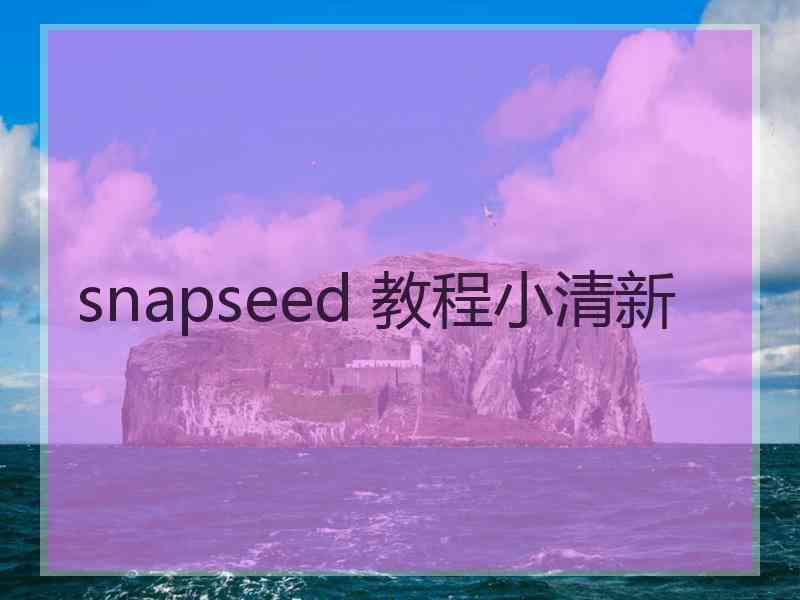 snapseed 教程小清新 snapseed 教程小清新