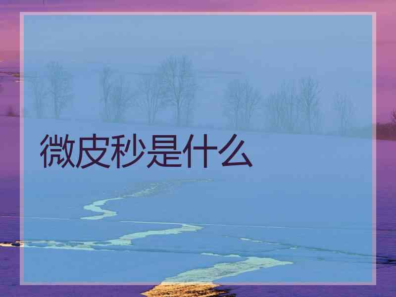 微皮秒是什么 微皮秒是什么
