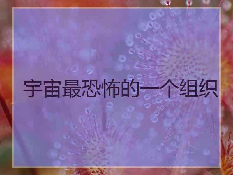 宇宙最恐怖的一个组织 宇宙最恐怖的一个组织