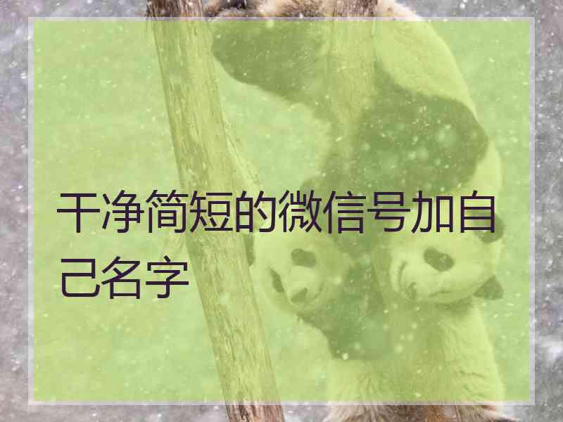 干净简短的微信号加自己名字 干净简短的微信号加自己名字