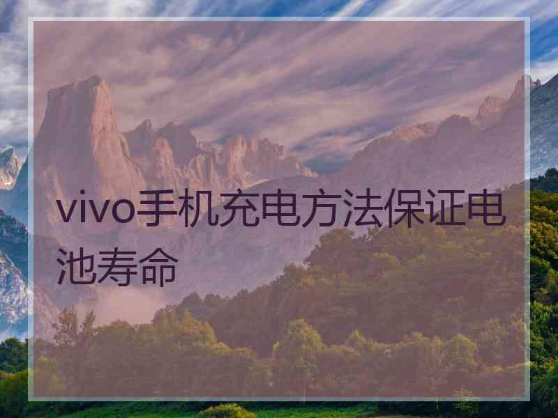 vivo手机充电方法保证电池寿命 vivo手机充电方法保证电池寿命