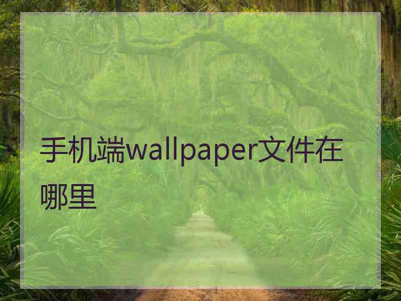手机端wallpaper文件在哪里 手机端wallpaper文件在哪里