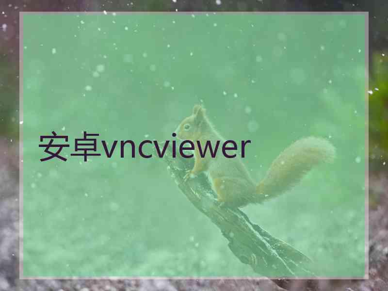 安卓vncviewer 安卓vncviewer