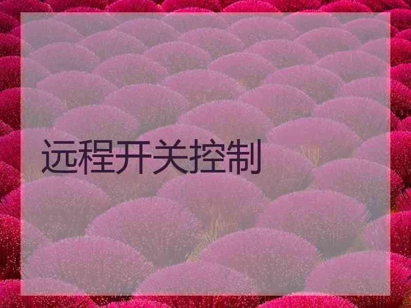 远程开关控制 远程开关控制