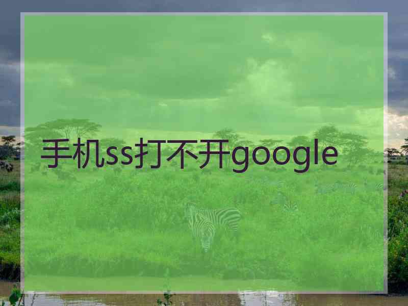 手机ss打不开google 手机ss打不开google