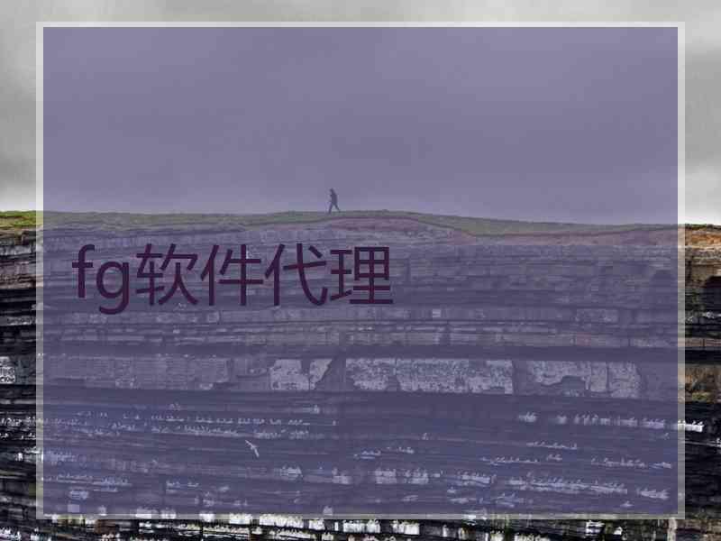 fg软件代理 fg软件代理