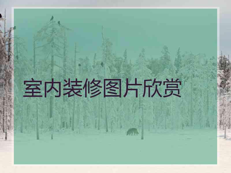 室内装修图片欣赏 室内装修图片欣赏