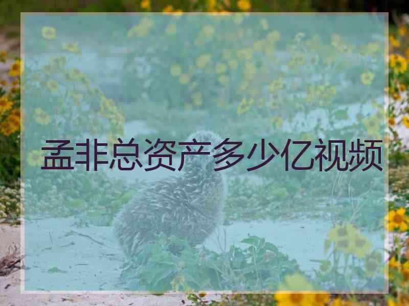 孟非总资产多少亿视频 孟非总资产多少亿视频