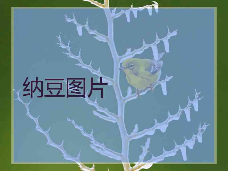 纳豆图片 纳豆图片