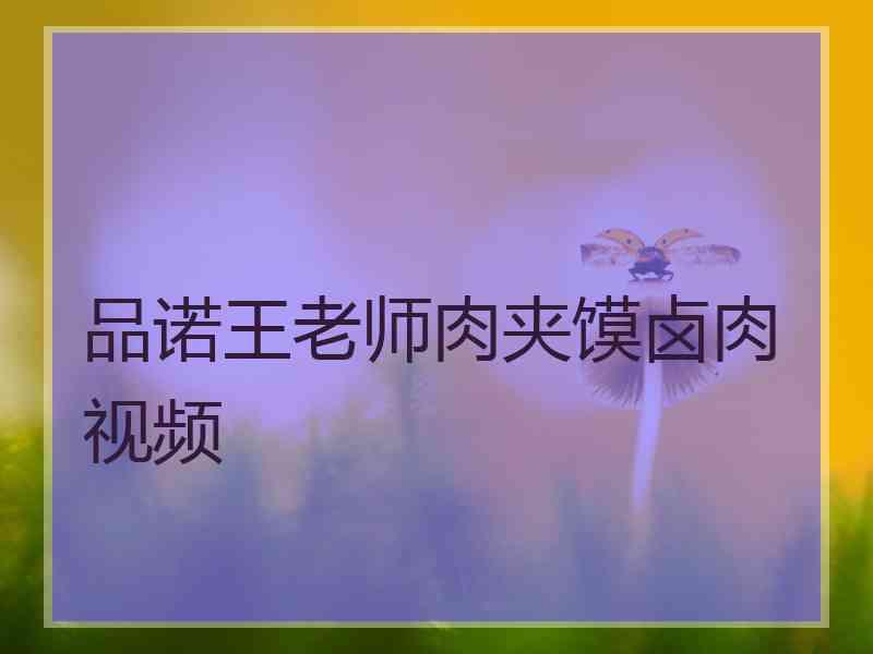 品诺王老师肉夹馍卤肉视频 品诺王老师肉夹馍卤肉视频