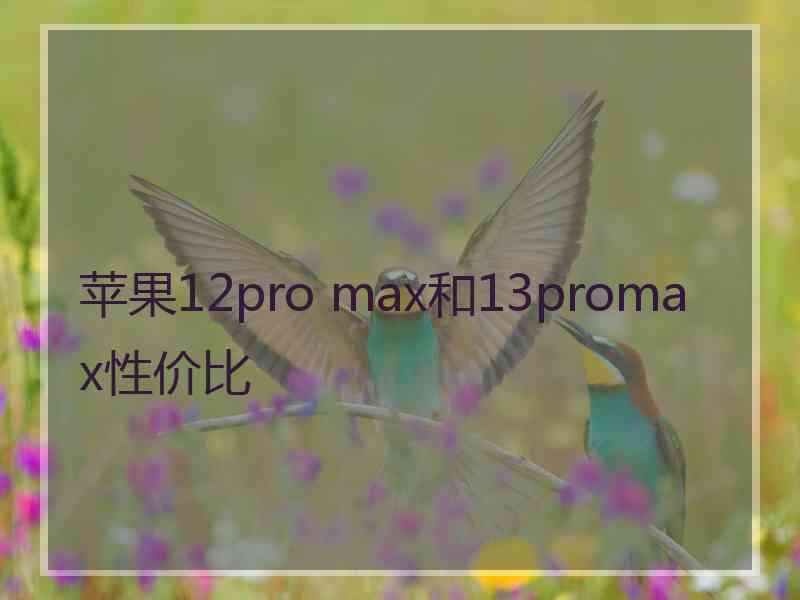 苹果12pro max和13promax性价比 苹果12pro max和13promax性价比