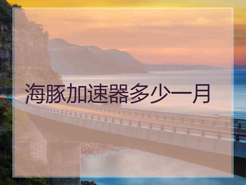 海豚加速器多少一月 海豚加速器多少一月