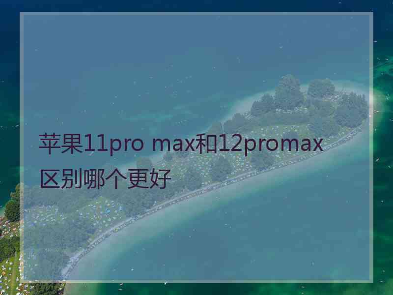 苹果11pro max和12promax区别哪个更好 苹果11pro max和12promax区别哪个更好