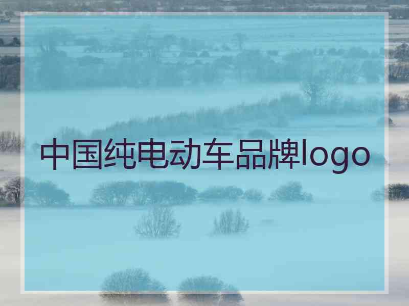 中国纯电动车品牌logo 中国纯电动车品牌logo