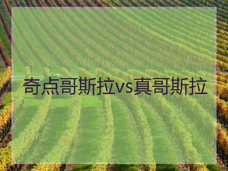 奇点哥斯拉vs真哥斯拉 奇点哥斯拉vs真哥斯拉