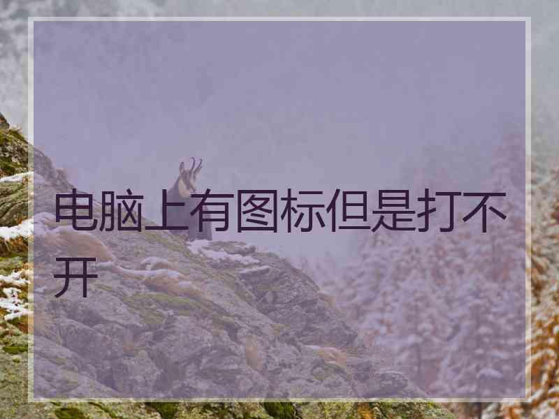 电脑上有图标但是打不开 电脑上有图标但是打不开
