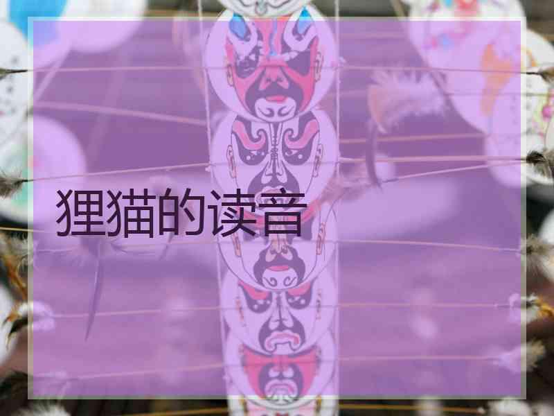 狸猫的读音 狸猫的读音