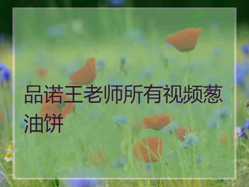 品诺王老师所有视频葱油饼 品诺王老师所有视频葱油饼